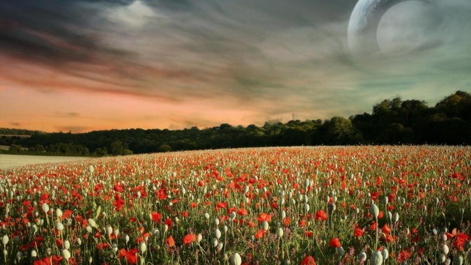 父母太节省是种怎样的体验？